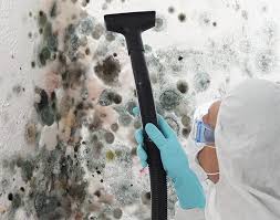 Mold Documentation for Insurance Claims in Nambe, NM